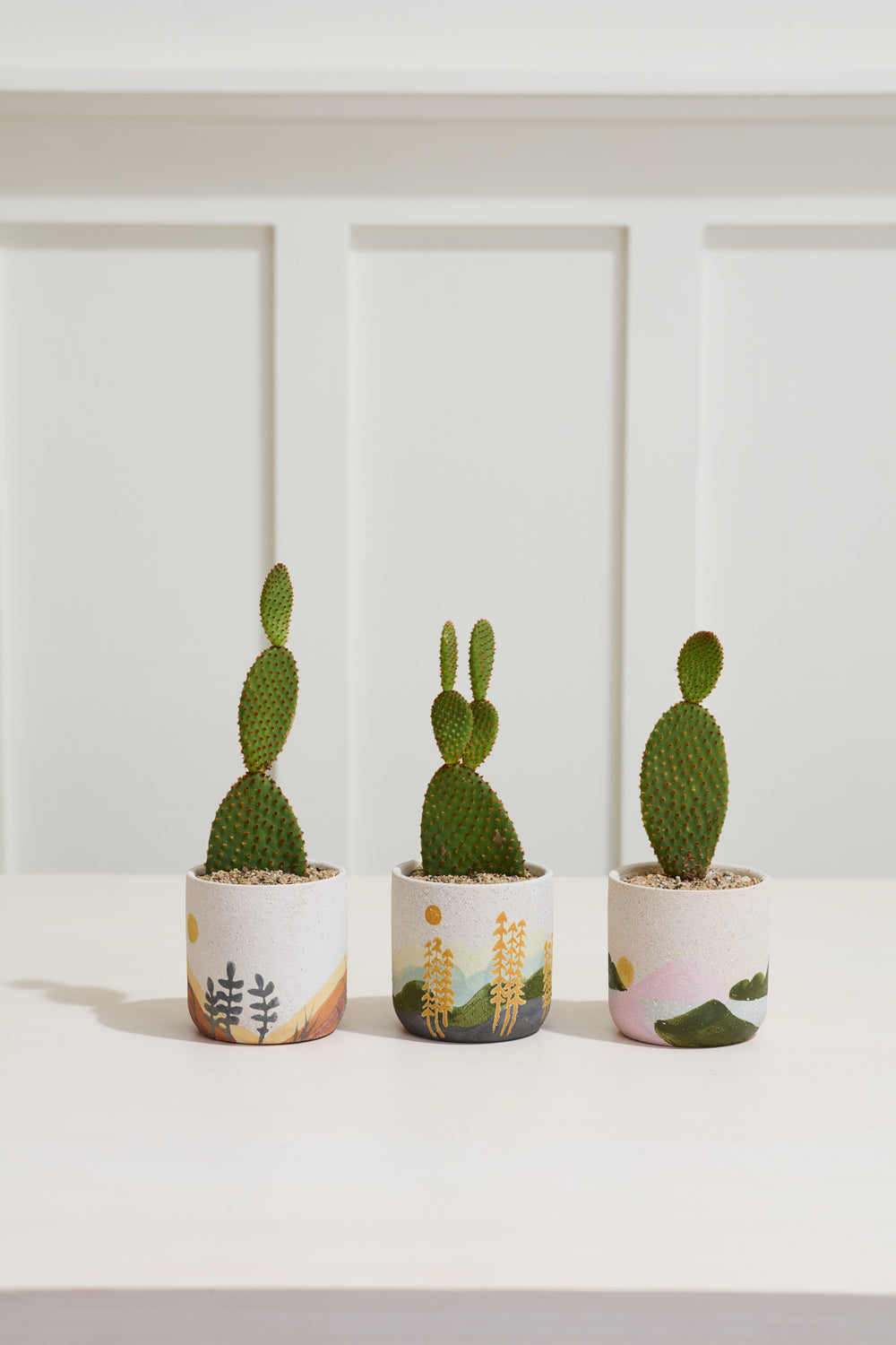 Mojave Pot