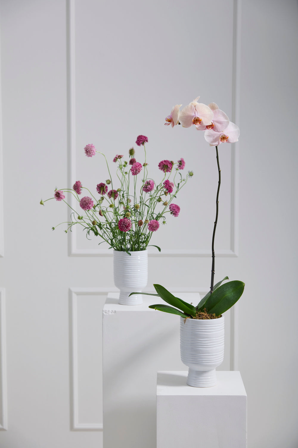 Monaco Vase