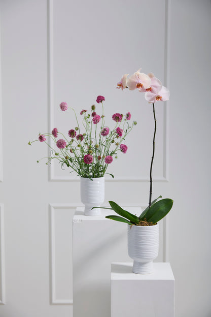 Monaco Vase