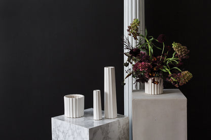 Monticello Collection