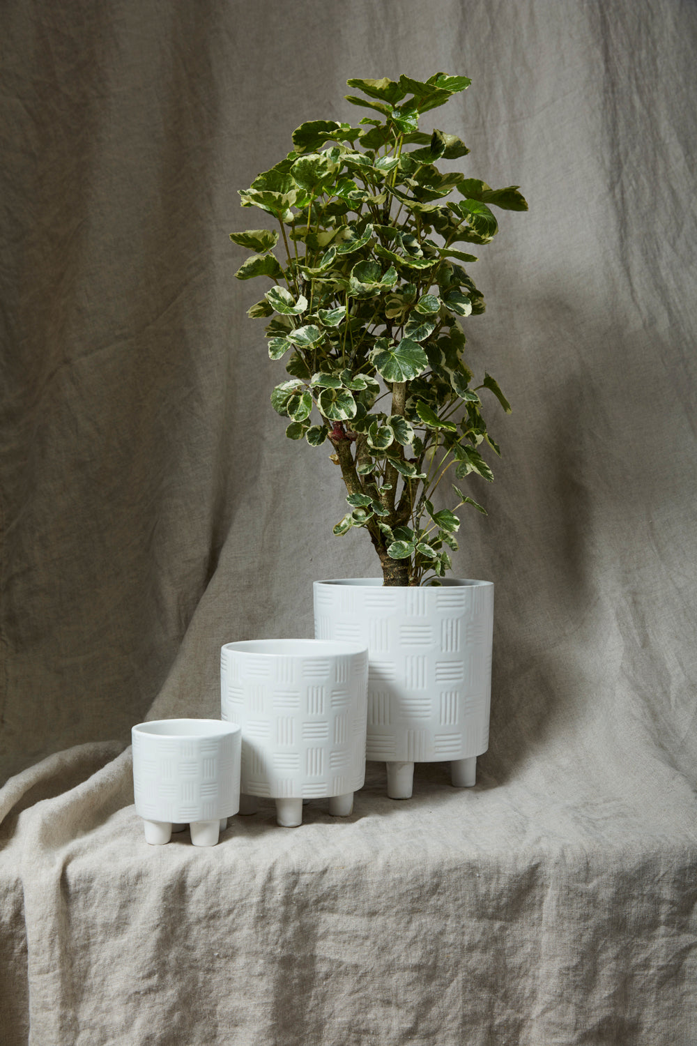 Morrow Footed Pot