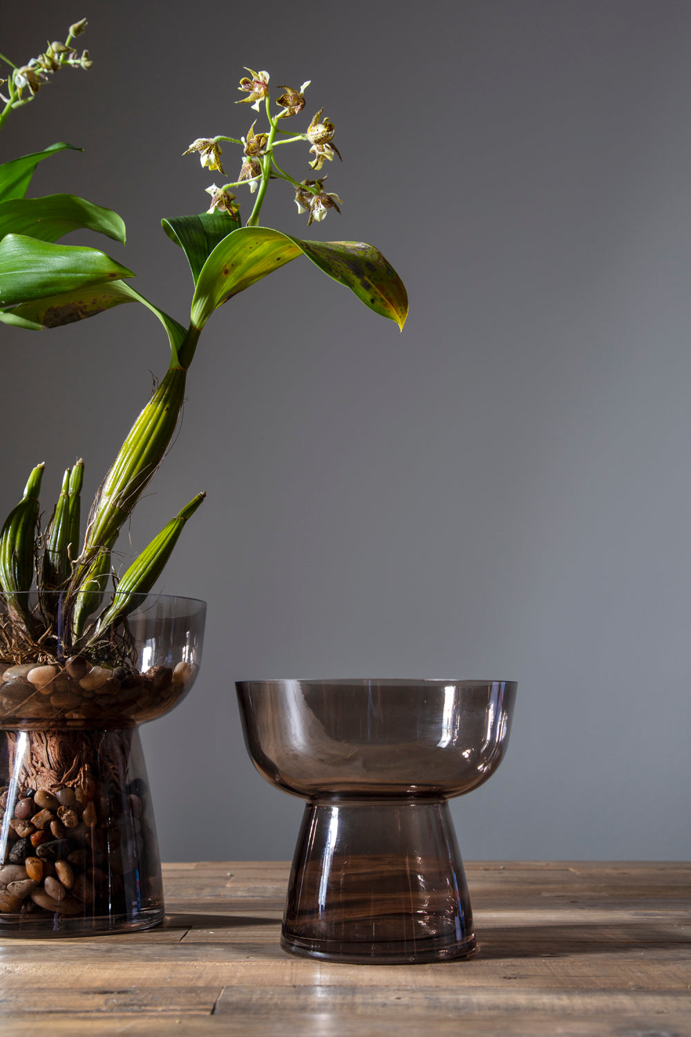 Noemi Vase