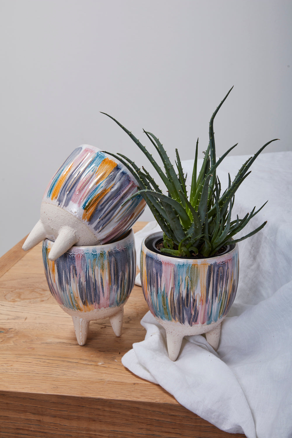 Oasis Pot