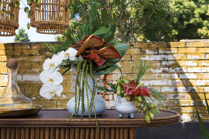 Odella Collection