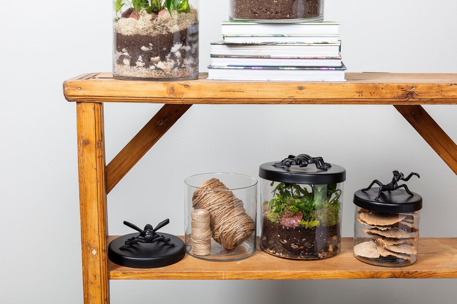 Ology Canister