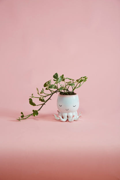 Open Arms Octopus Pot