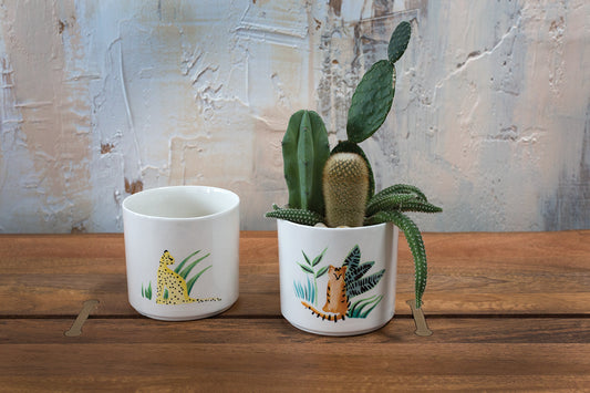 Panthera Pot