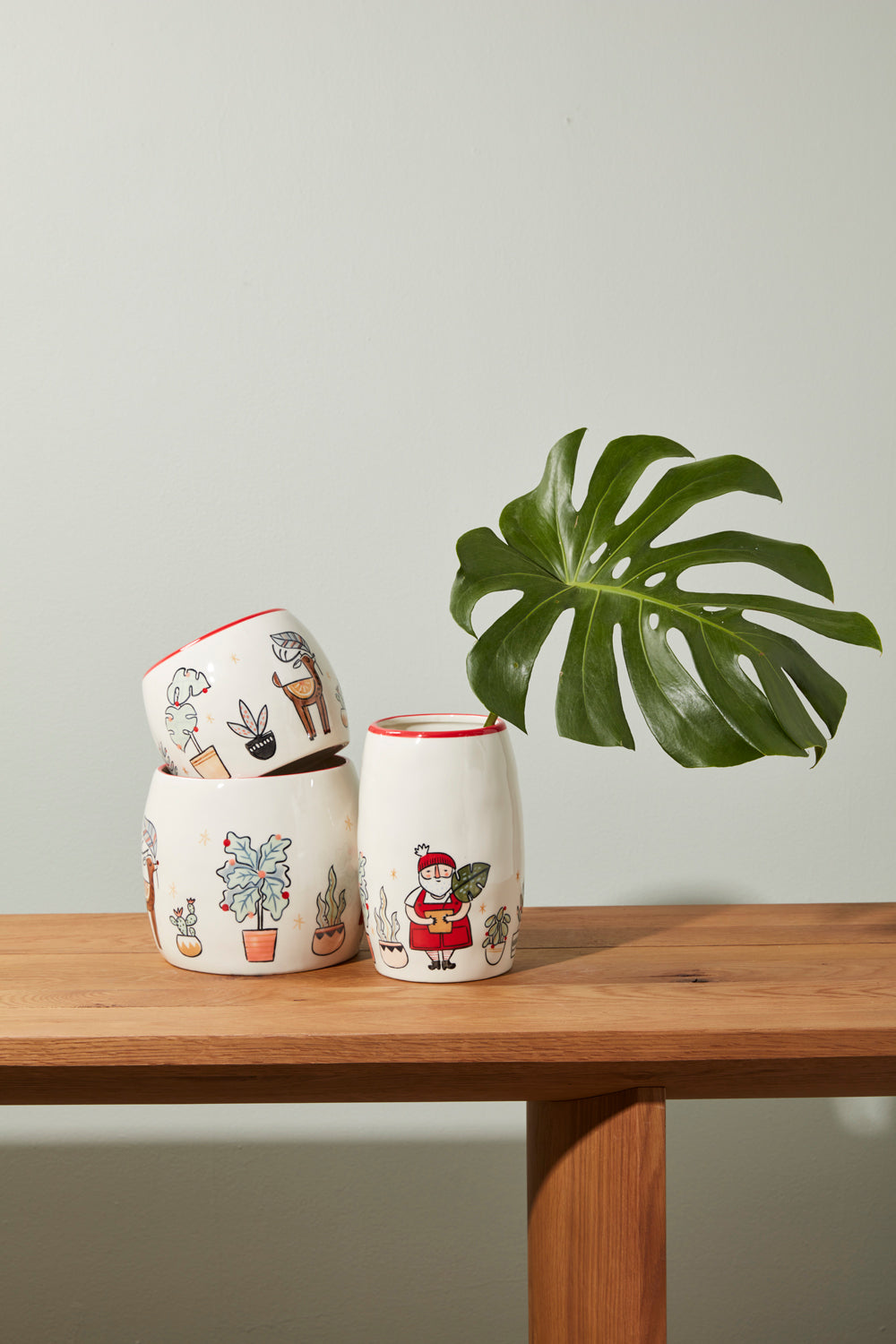 Planta Collection