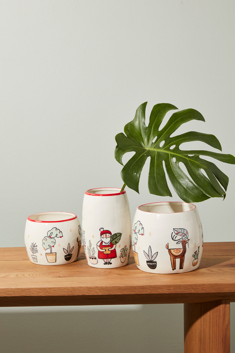 Planta Collection