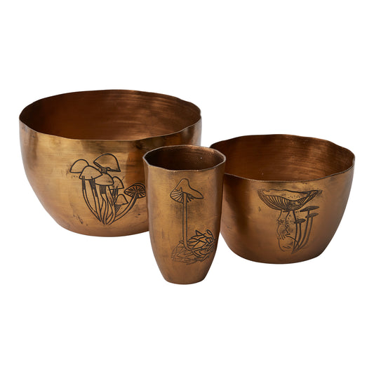 Portabello Collection