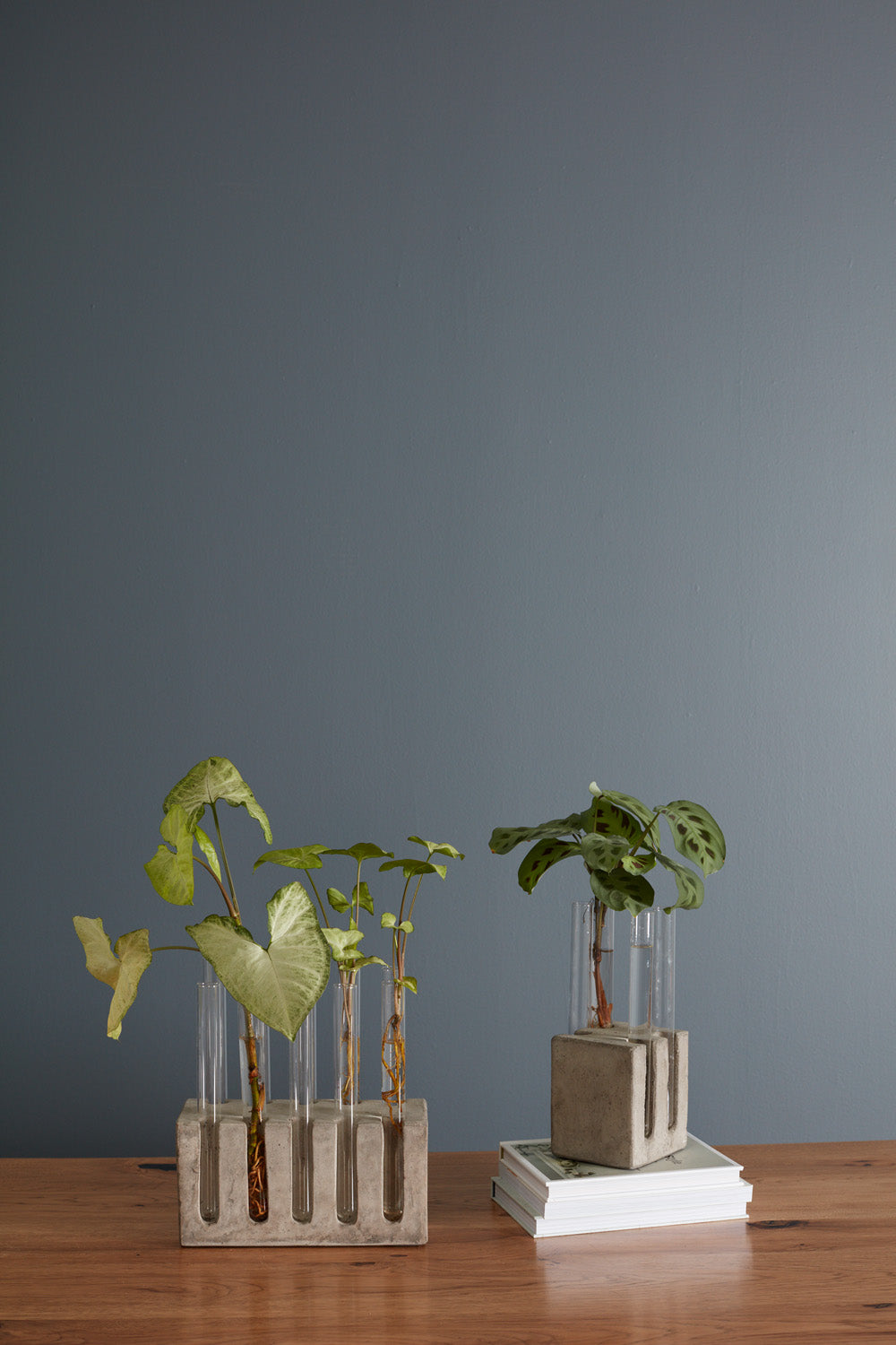 Propagation Stand