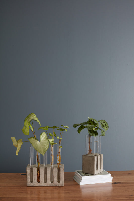 Propagation Stand