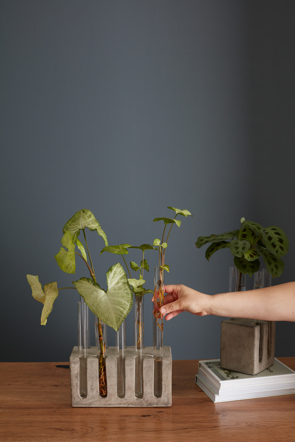 Propagation Stand