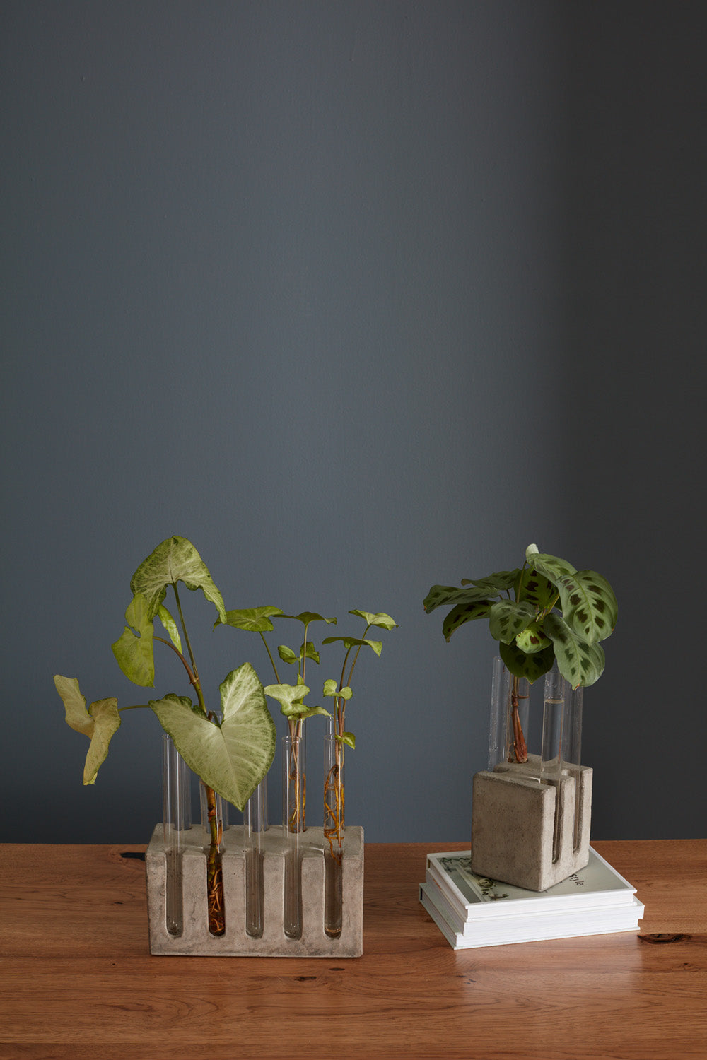 Propagation Stand