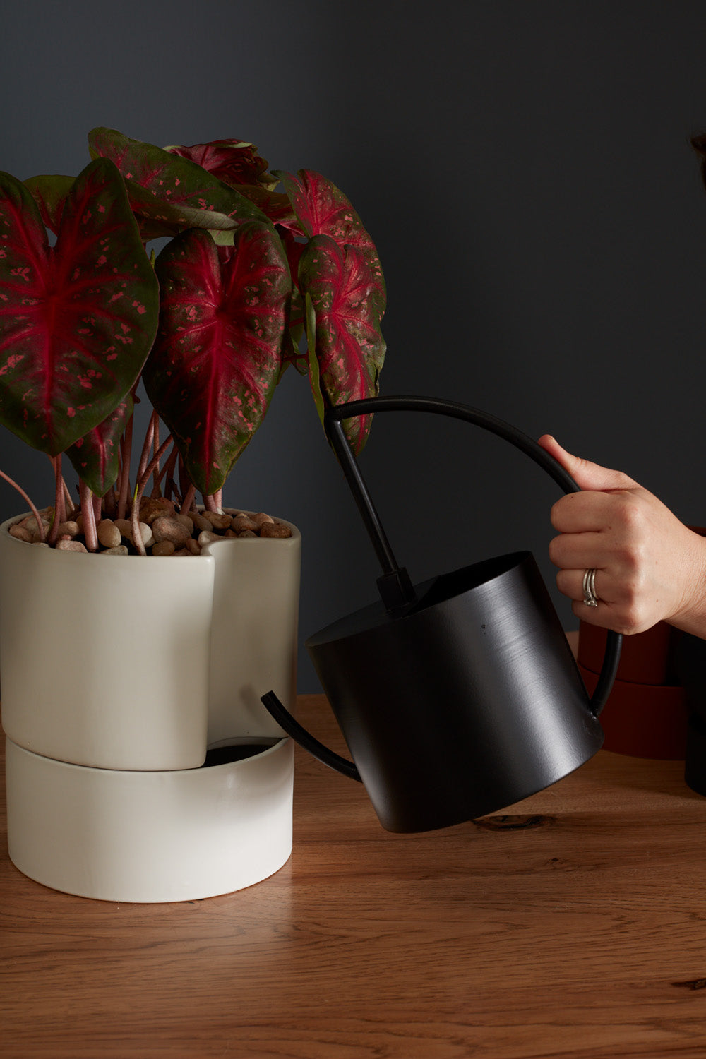 Radius Watering Can