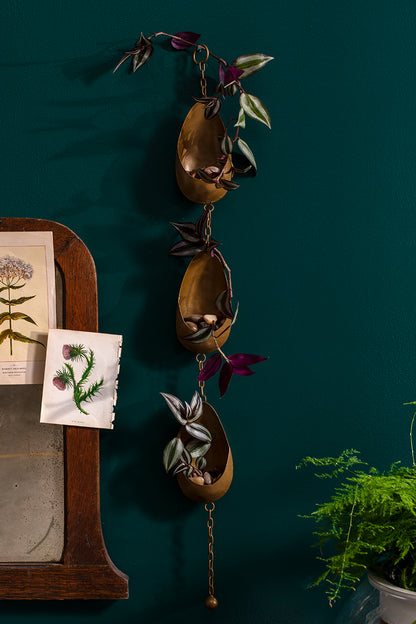 Ramble Tillandsia Holder