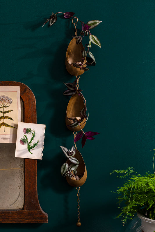 Ramble Tillandsia Holder