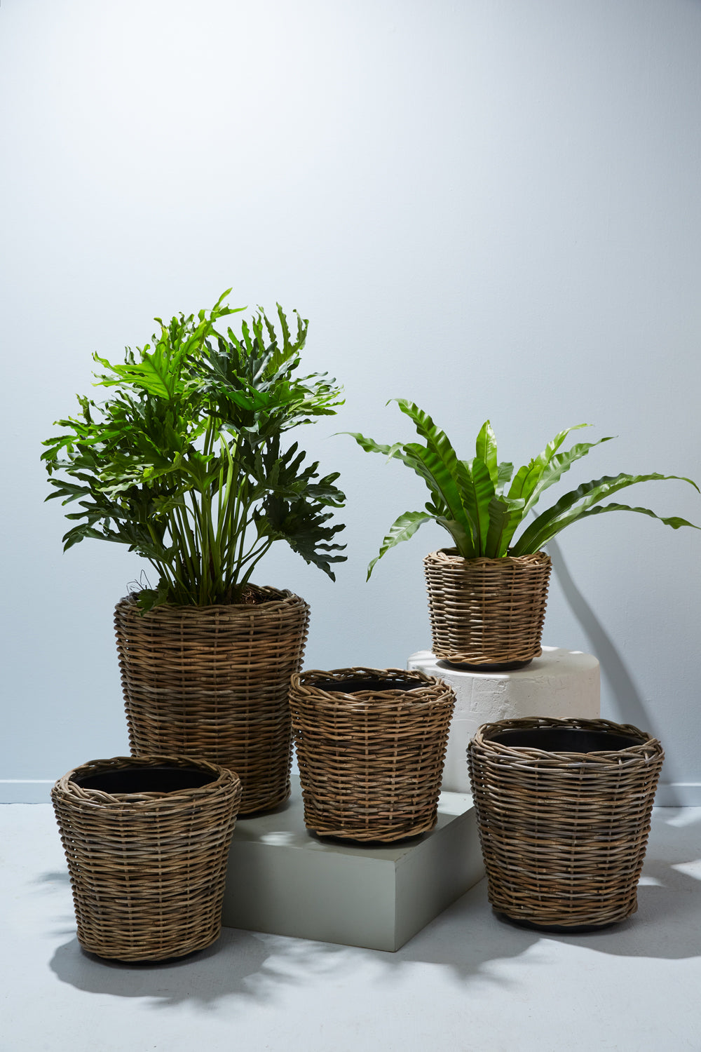 Rattan Basket