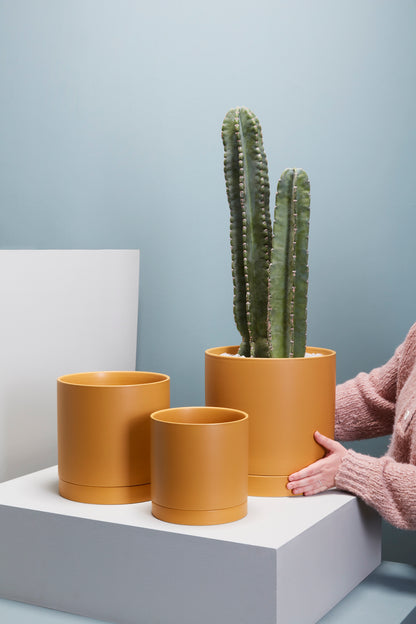 Romey Pot