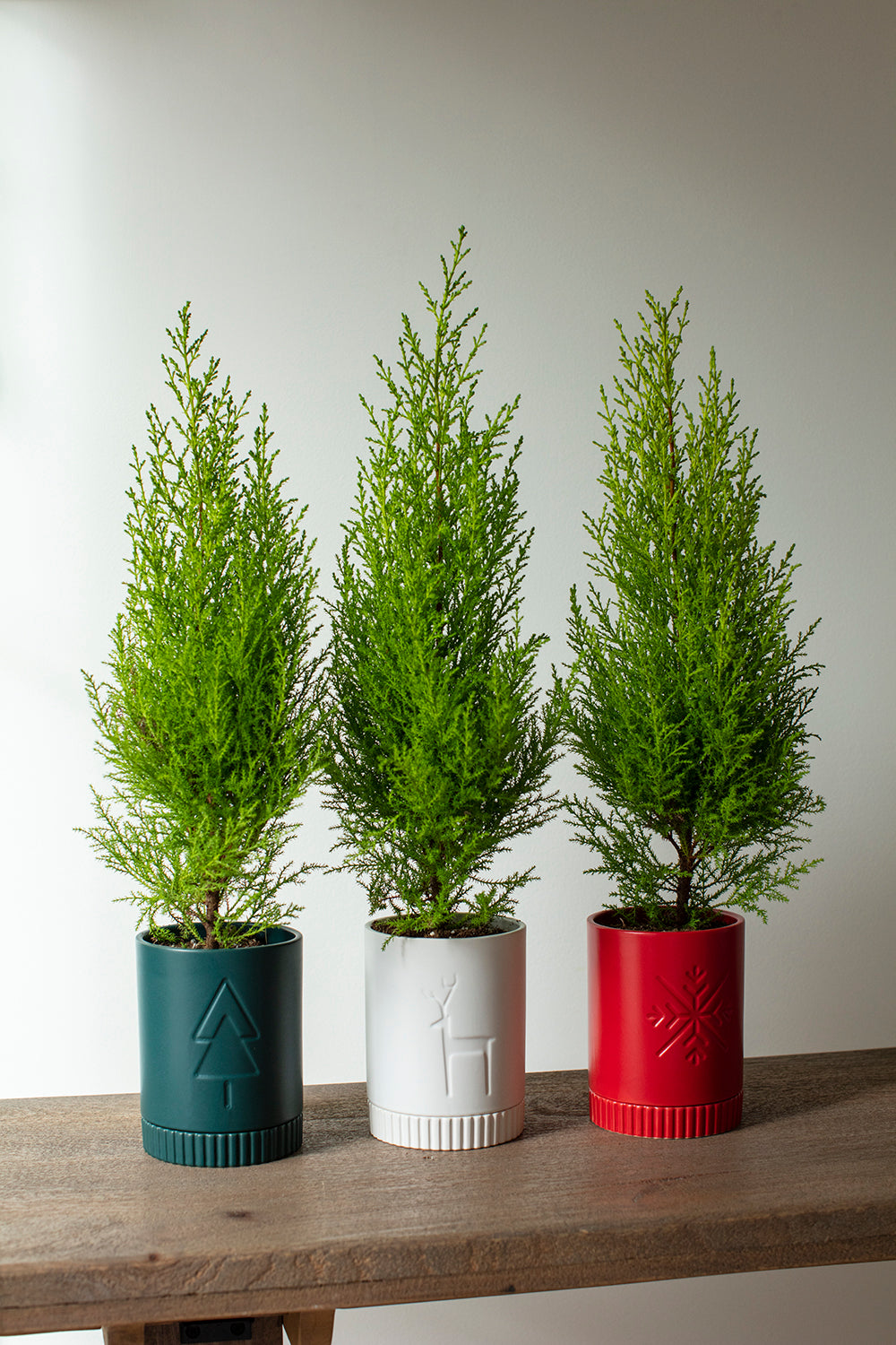 Rowan Pot