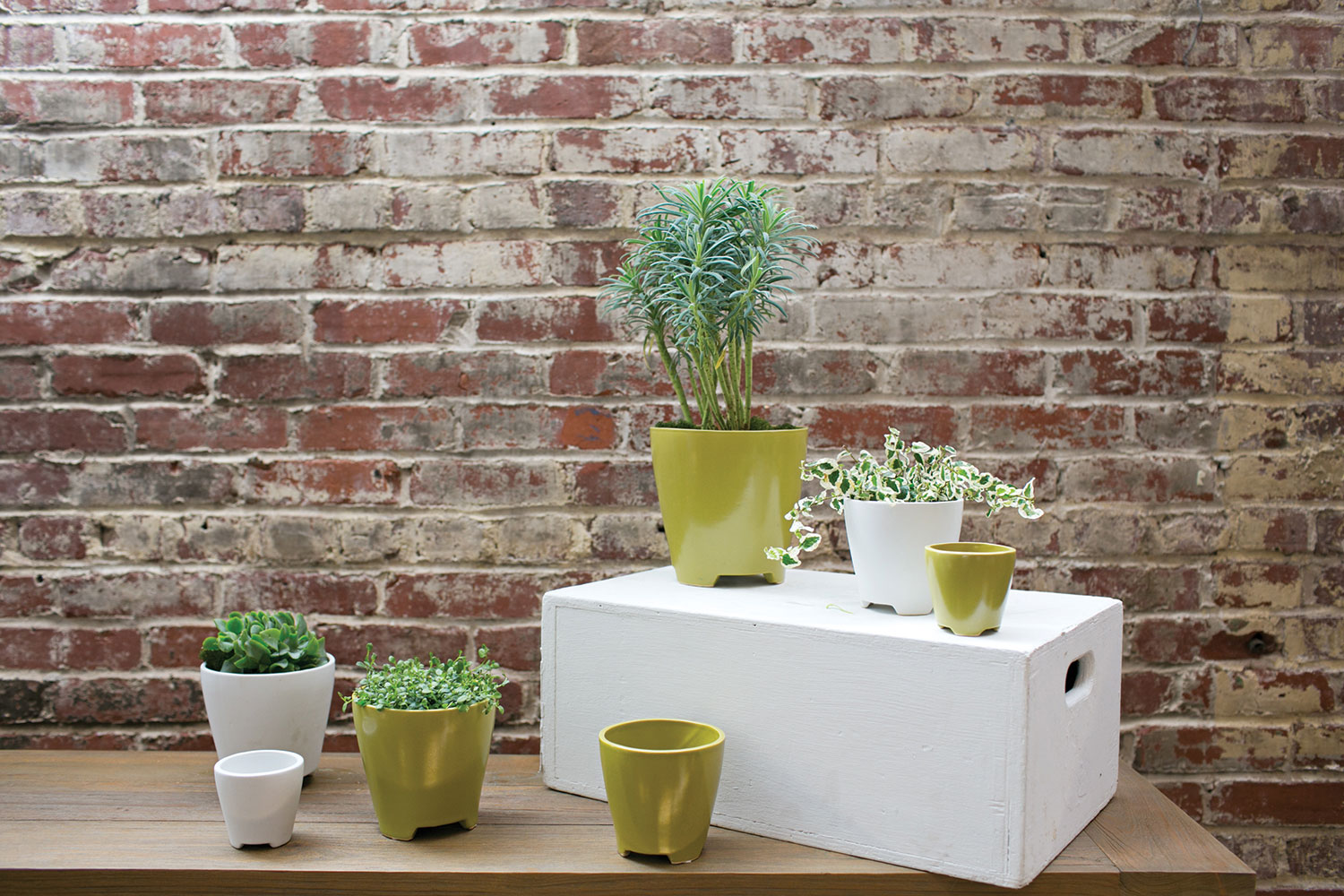 Ruth Pot