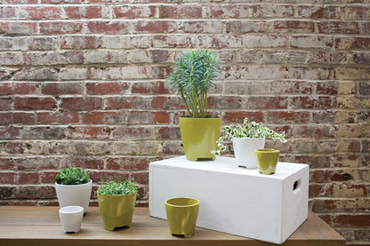 Ruth Pot