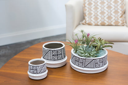 Safaa Collection