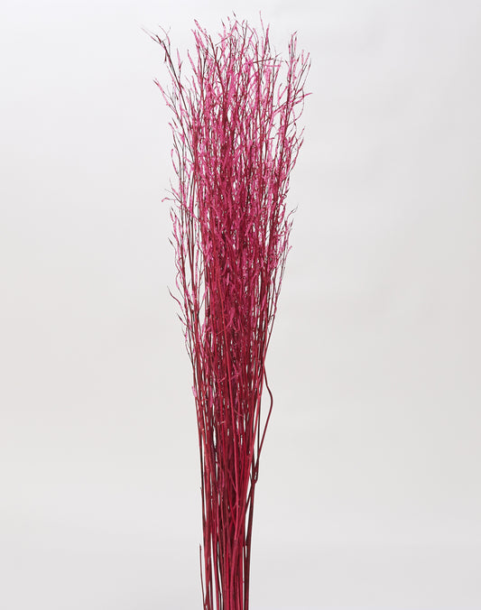 Saras Grass