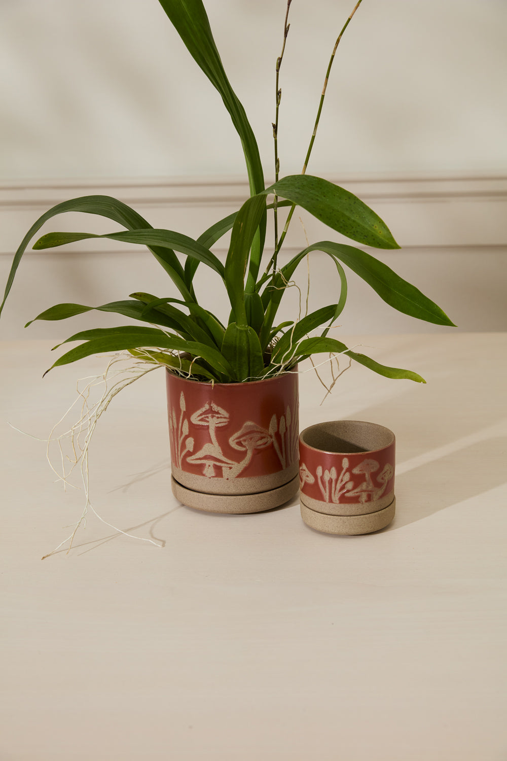 Scavenger Pot