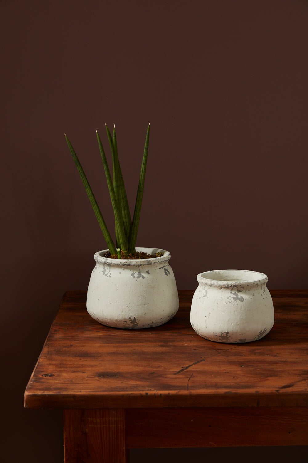 Shabby Pot