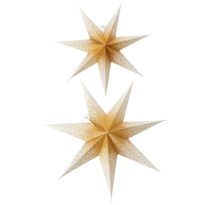 Shimmering Paper Star