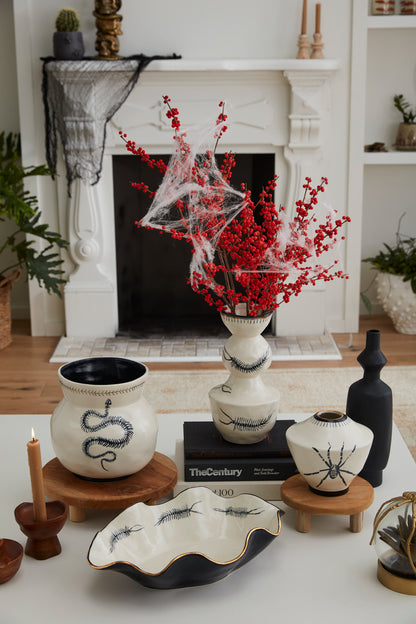 Sinuous Collection