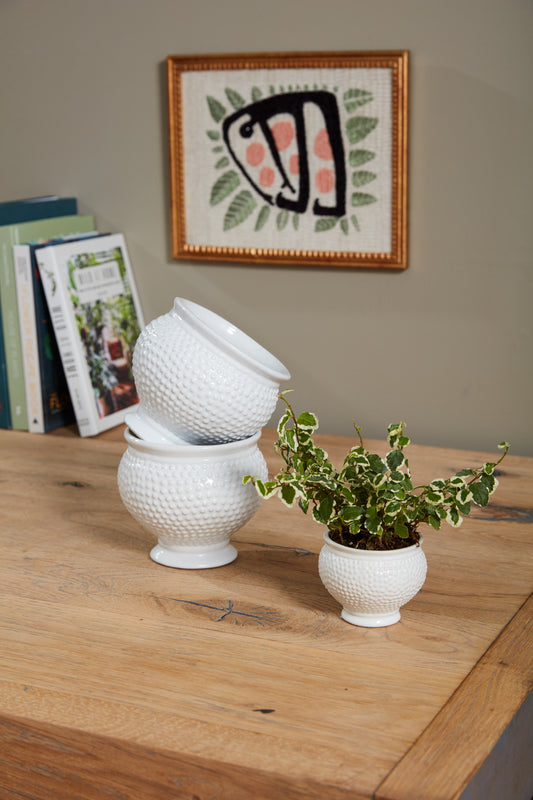 Spotti Pot