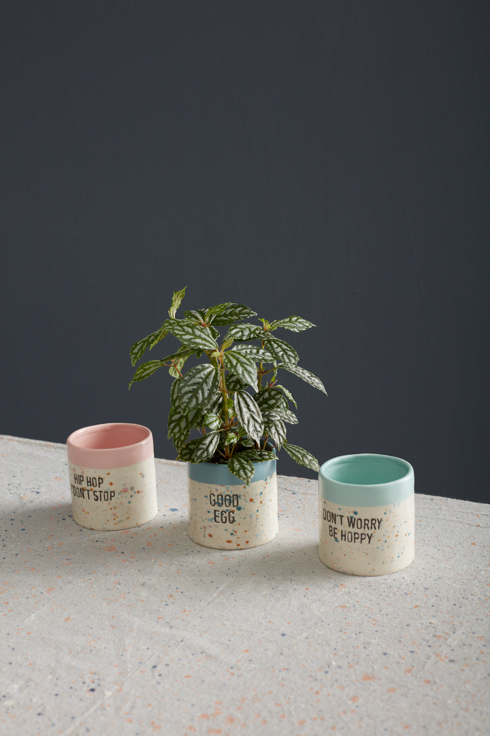 Spritz Easter Pot