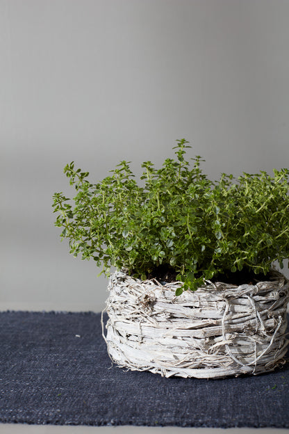 Spruce Planter - Set of 2