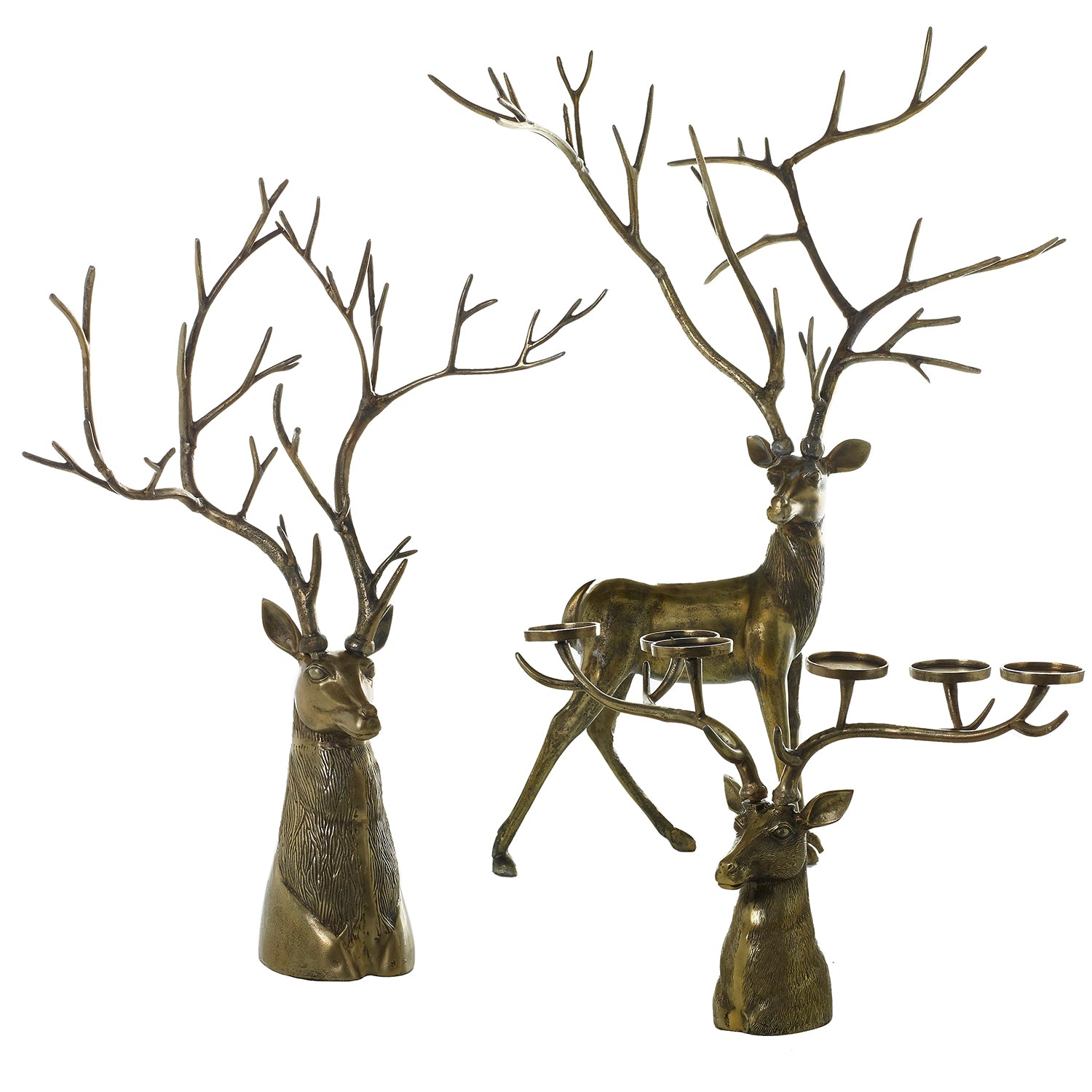 Stag Collection