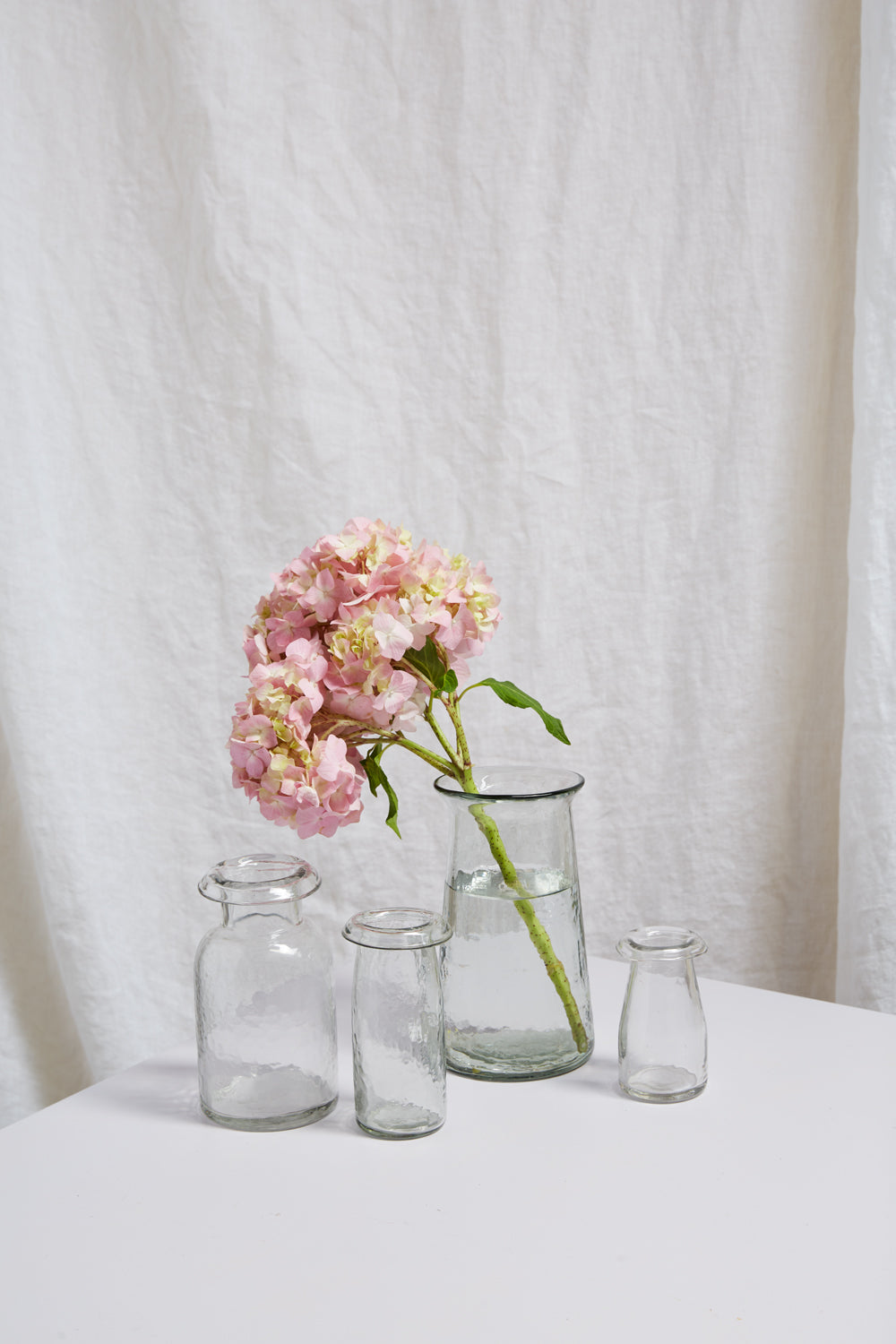 Stevie Vase