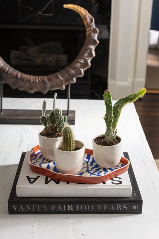 Tipper Pots with Tray Set