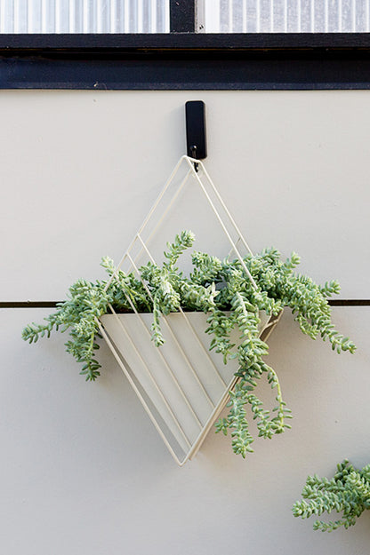 Tulane Hanging Planter