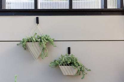 Tulane Hanging Planter