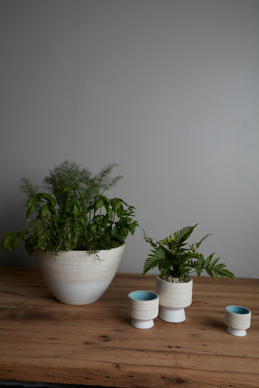 Umbra Collection