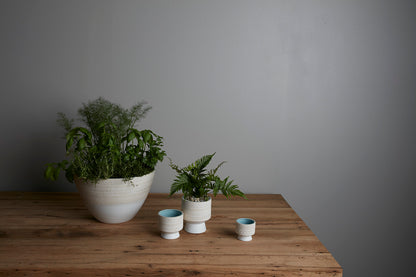 Umbra Collection