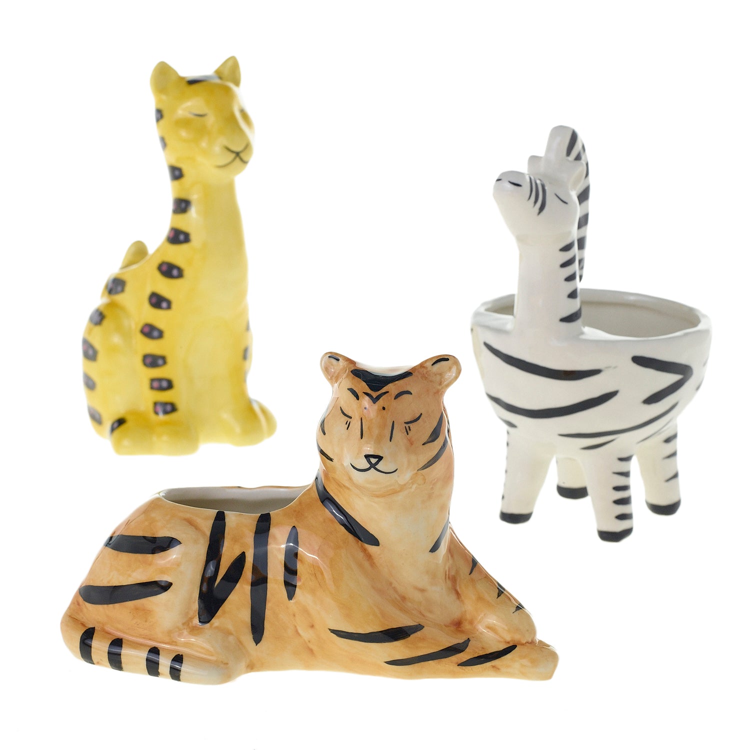 Untamed Collection