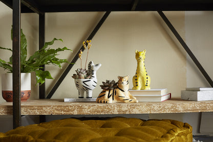 Untamed Collection