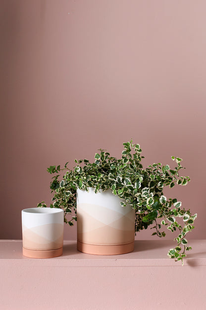 Vesper Collection