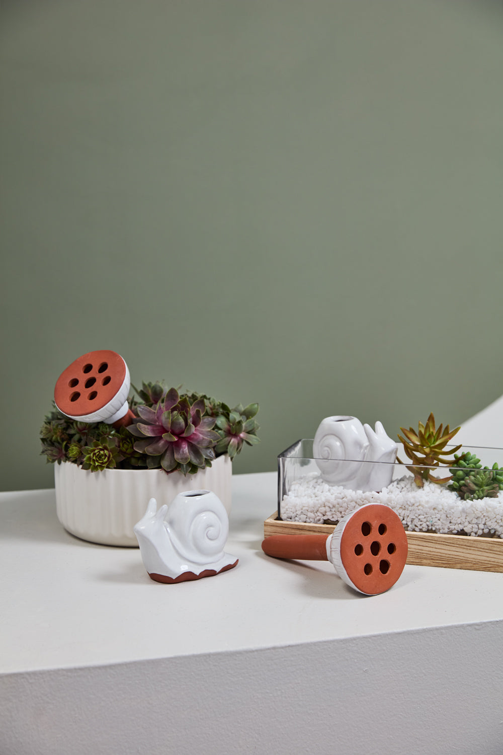 Whimsy Watering Collection