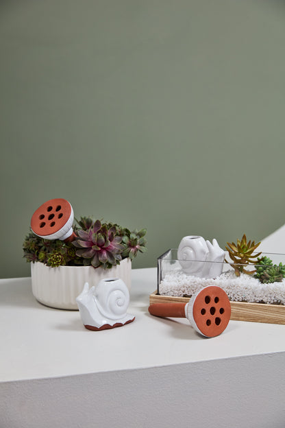 Whimsy Watering Collection
