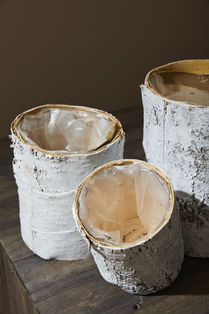White Birch Cylinder and Bowl
