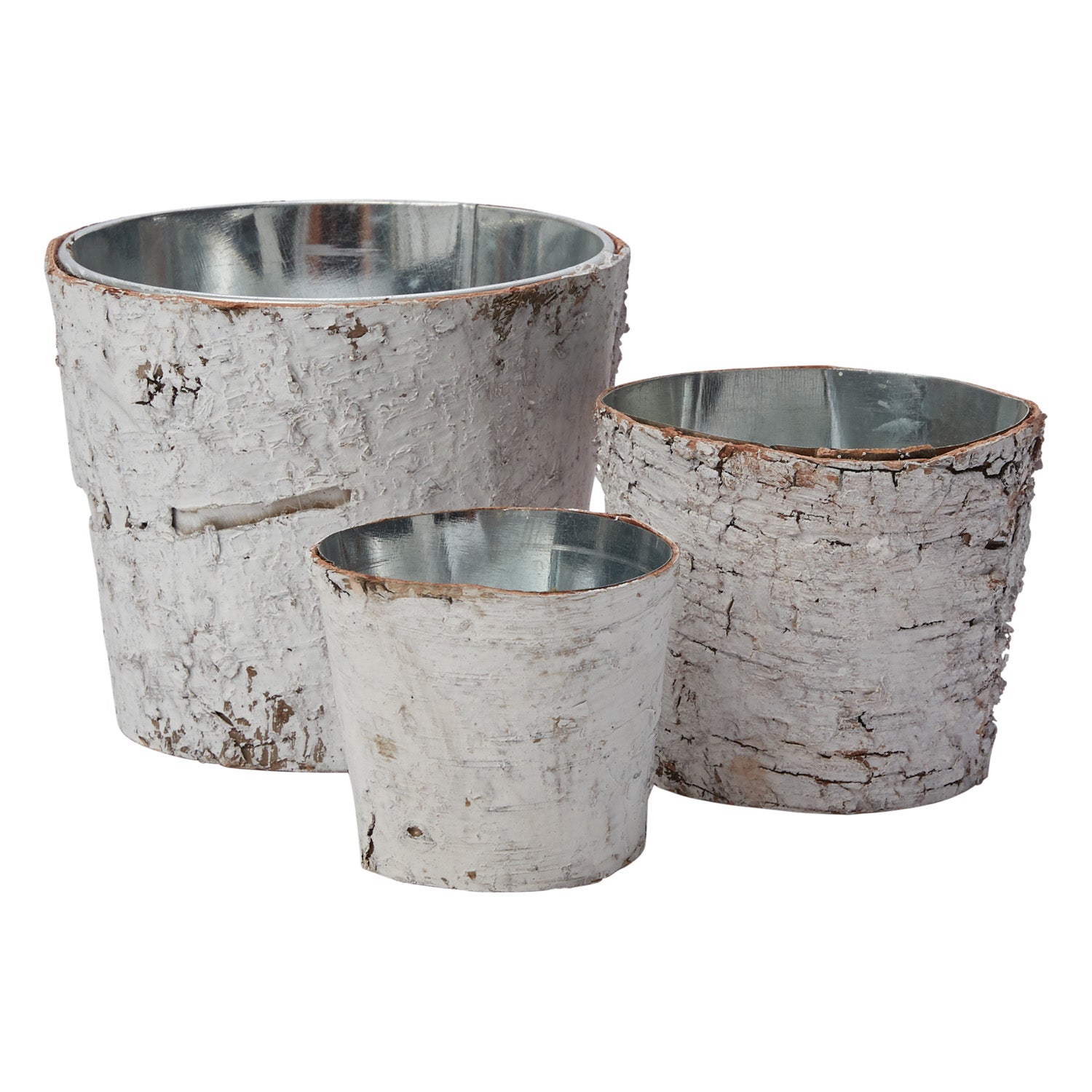 White Birch Pot w/ Zinc