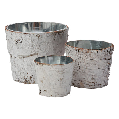 White Birch Pot w/ Zinc